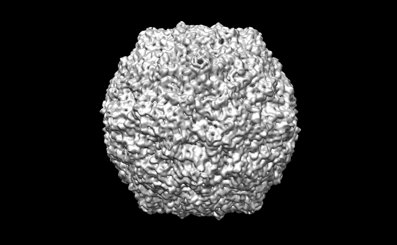 河北省猪病毒最新动态，科学防控，保障生猪产业健康发展